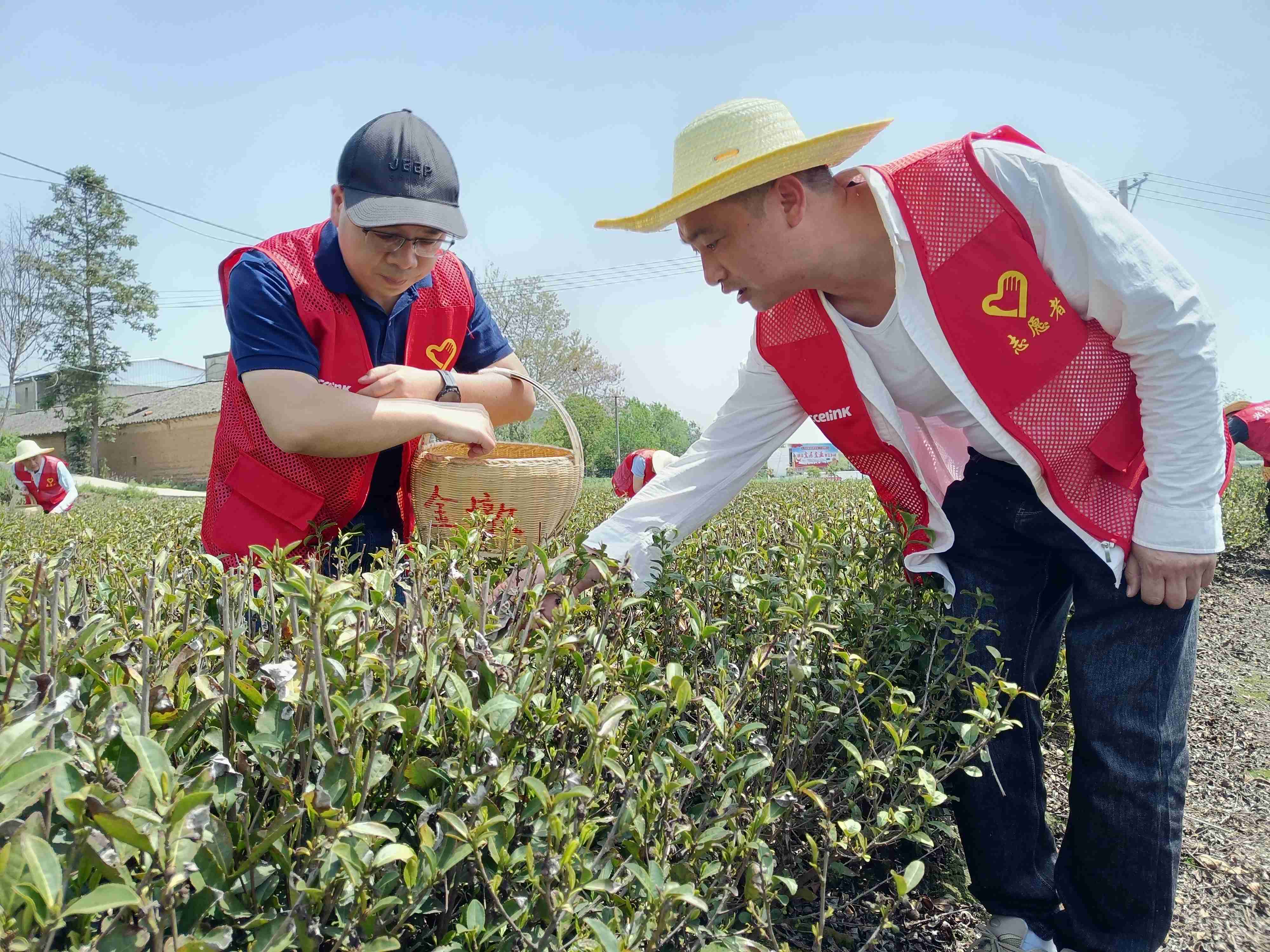 首页| AG真人国际集团官方网站